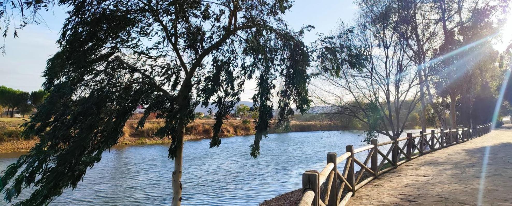 Villa La Casona Del Bullaque El Robledo  Esterno foto
